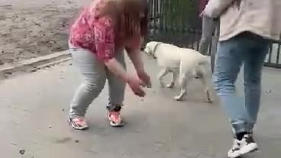 video-1651738158.mp4
